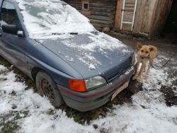 Ford Escort 1990 года в городе Полоцк фото 7