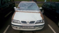 Nissan Primera p11 1997 года в городе Минск фото 1