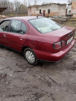 Nissan Primera 2000 года в городе Пинск фото 6