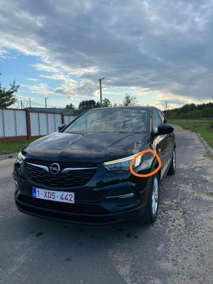 Opel Garndland x 2019 года в городе Борисов фото 4