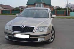 Skoda Октавия 2005 года в городе Светлогорск фото 3