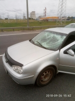 Volkswagen гольф 2002 года в городе минск фото 1