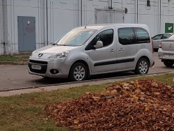 Peugeot Partner Tepee 2009 года в городе Минск фото 1