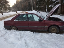 Peugeot  1995 года в городе Минский р-н, д. Аксаковщина фото 4