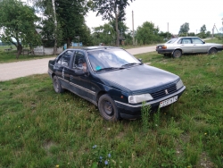 Peugeot  1994 года в городе Аг. Дитва фото 1