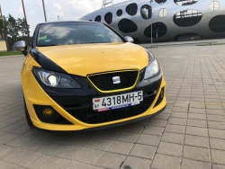 Seat  2010 года в городе Борисов фото 1