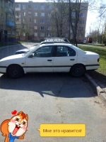 Nissan Primera 1991 года в городе Гродно фото 3