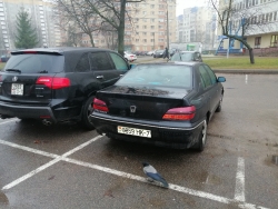 Peugeot 406 2000 года в городе Минск фото 3