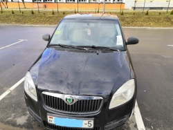 Skoda Fabia 2010 года в городе Борисов фото 1