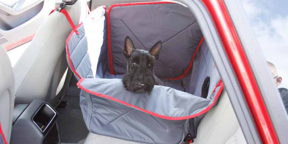 Правила и товары для безопасной перевозки собак в автомобиле | Наши пёсики